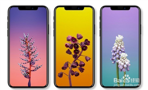 苹果手机怎么定位?我用Golang写了个工具,结果真香了 苹果手机怎么定位?我用Golang写了个工具,结果真香了