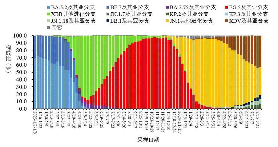 中疾控发布10月新冠感染情况,疫情处于低水平波动,JN.1变异株仍占主导 中疾控发布10月新冠感染情况,疫情处于低水平波动,JN.1变异株仍占主导